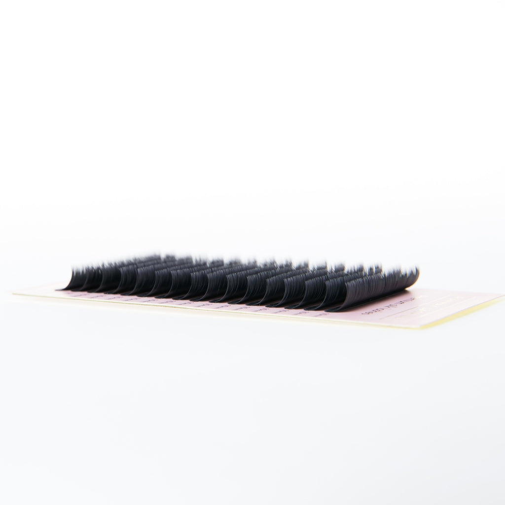 Single size volume lash trays